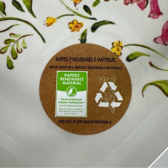 Shabby Chic Melamine Dinner Plates Floral Spring Scalloped Green Pink 4 pc NEW - Picture 3 of 10